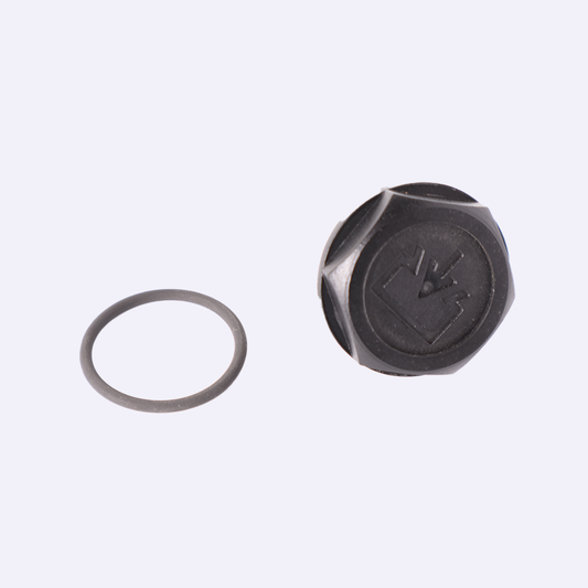 Oil Fill 3/4" Plug for Henkelman Vacuum Sealer Busch Pump 0939113